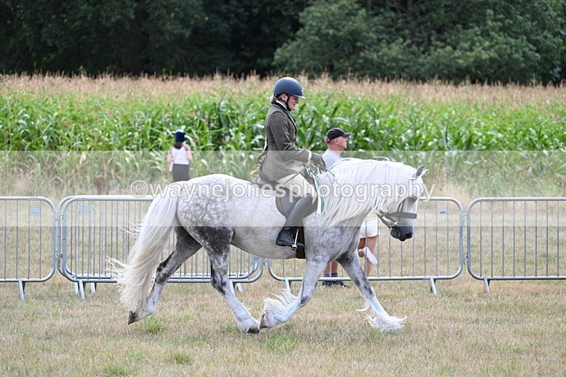 WJ7_5585 - Class 12 Ridden Cob