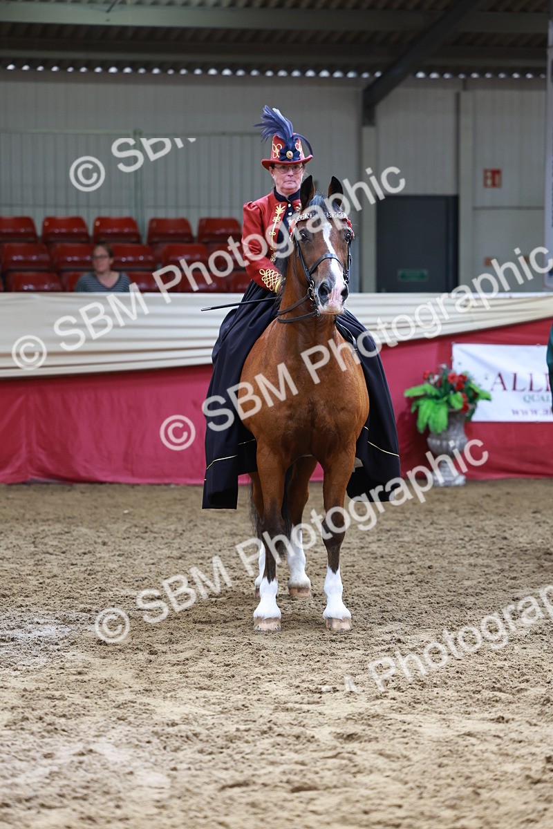 SBM_14836 - Class 107 - Ridden Costume - Astride Adult  (20+)