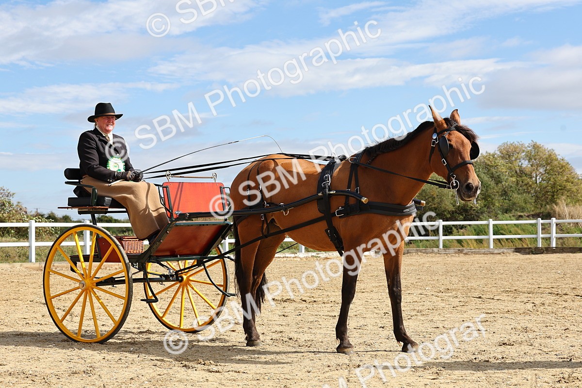 SBM_000951 - Class 8 - Novice Horse or Pony to any vehicle
