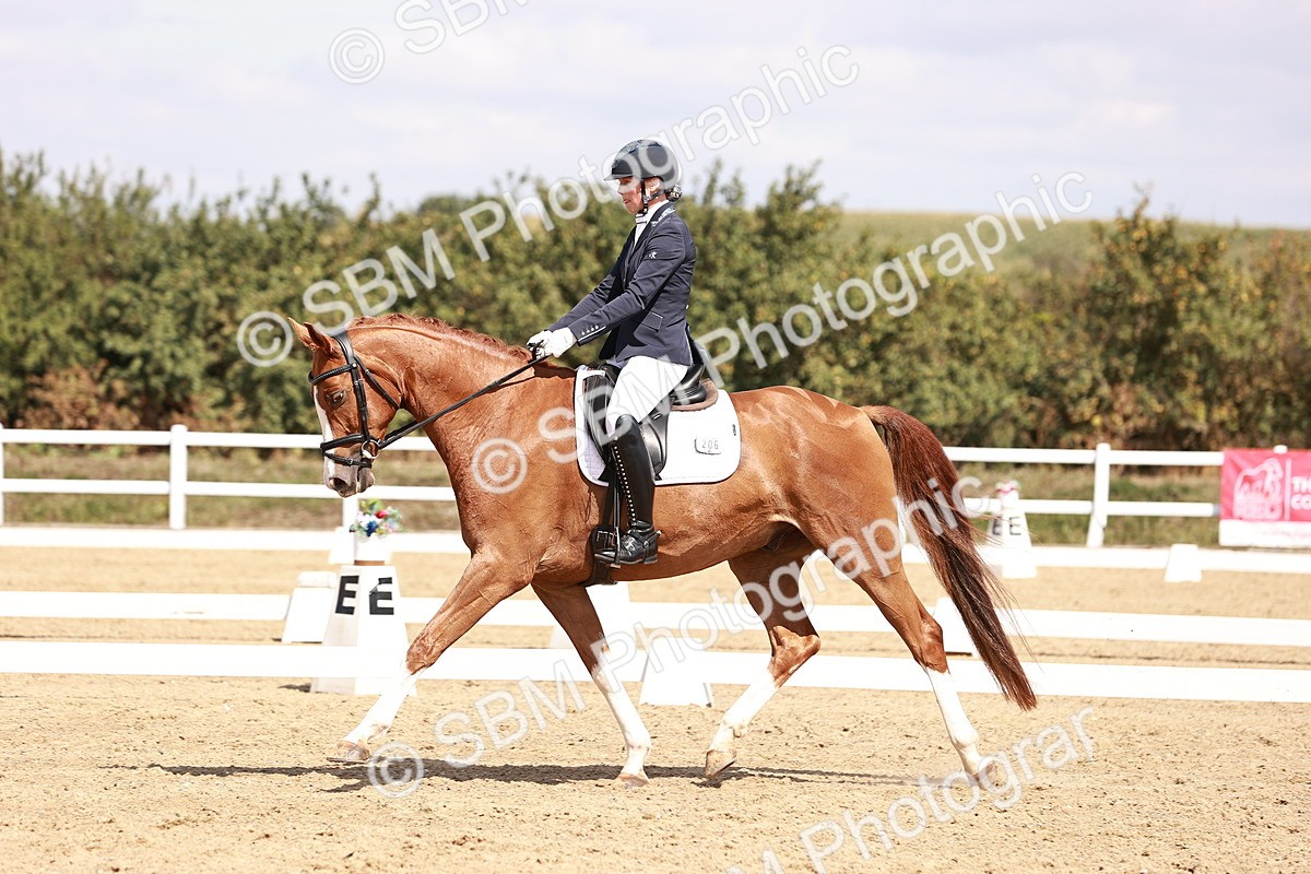 SBM_018445 - Class 17 - Novice 6