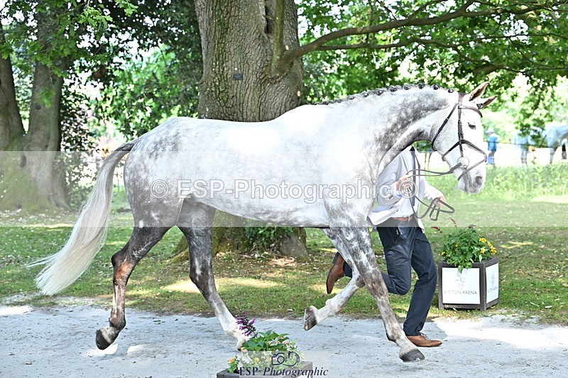 250521A-153335-00589 - B-311-Barnie.Brotherton-WHIXLEY.QUALITAS