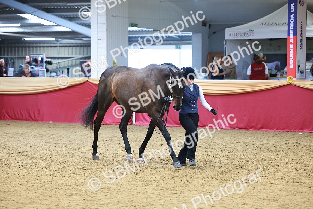 SBM_04215 - Class 9R - IH Pre-Vet
