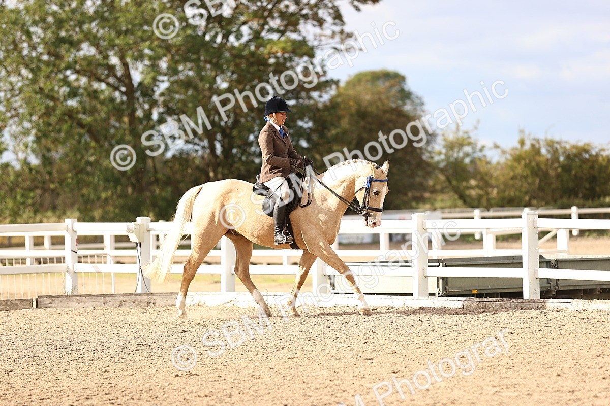 SBM_18152 - Class 423 - Equitation (best rider) Adult