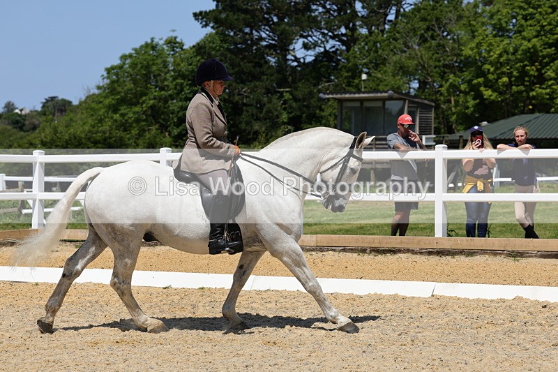 1X9A1704 - Class 11: Ridden Cob