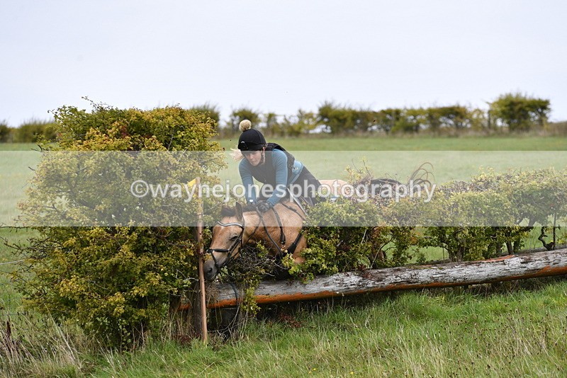 WJ5_6296 - Time 12:00 to 12:21