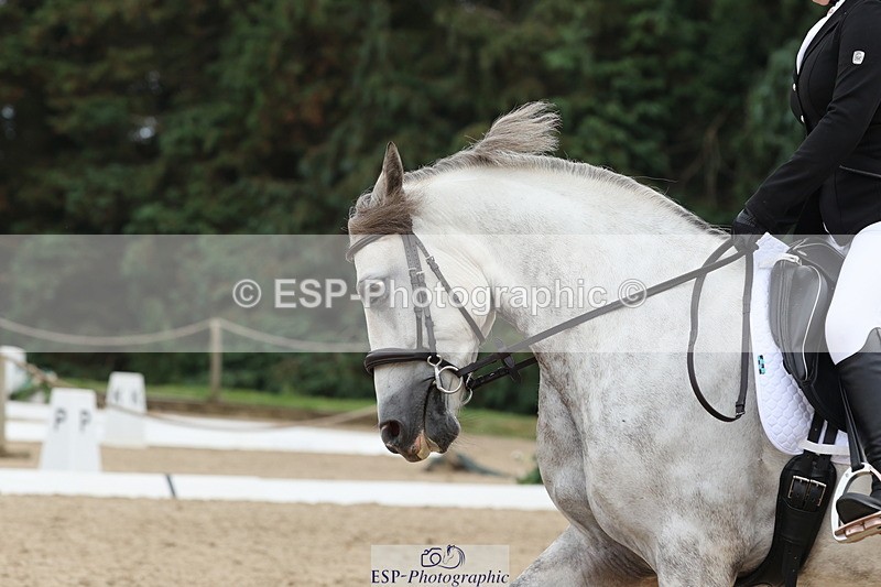 250718A-133934-01573 - 016-Georgia.Shapter-Brackhowney.Jack