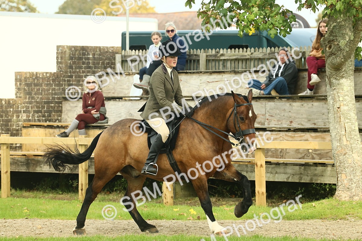 SBM_69343 - S58 - Mini Show Cob Ridden
