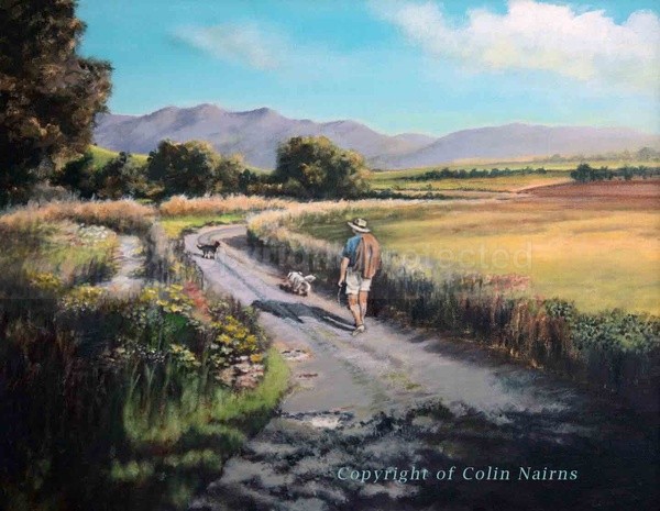 Mid-summer Morning - Landscapes