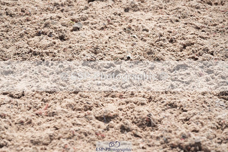 250815-134036-01243 - 1.30pm Presentations