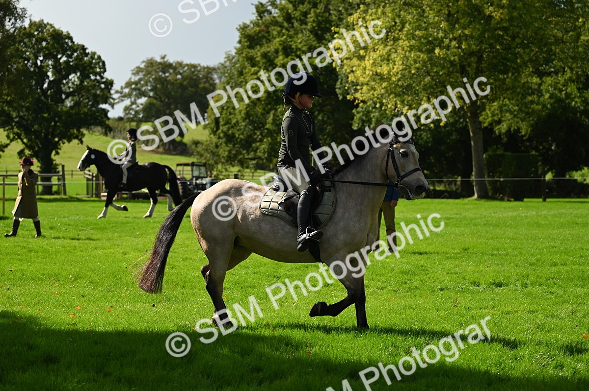 SBM_02760 - S3 - TSR Ridden Pony Showing