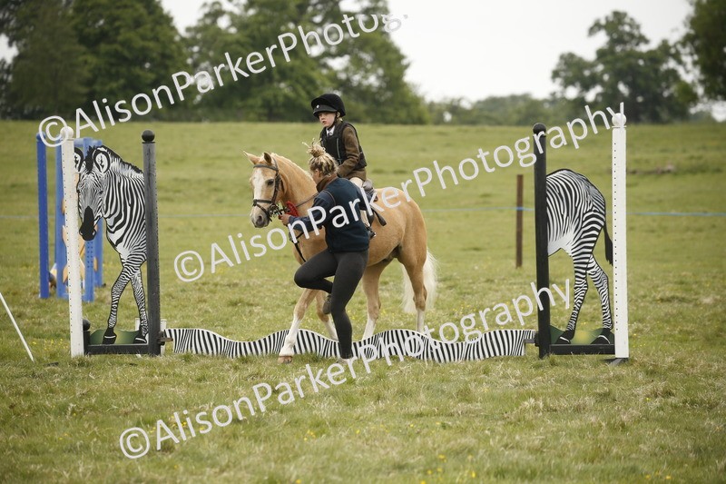 20250517-0210 - Class 1 - 30cm On Lead Rein
