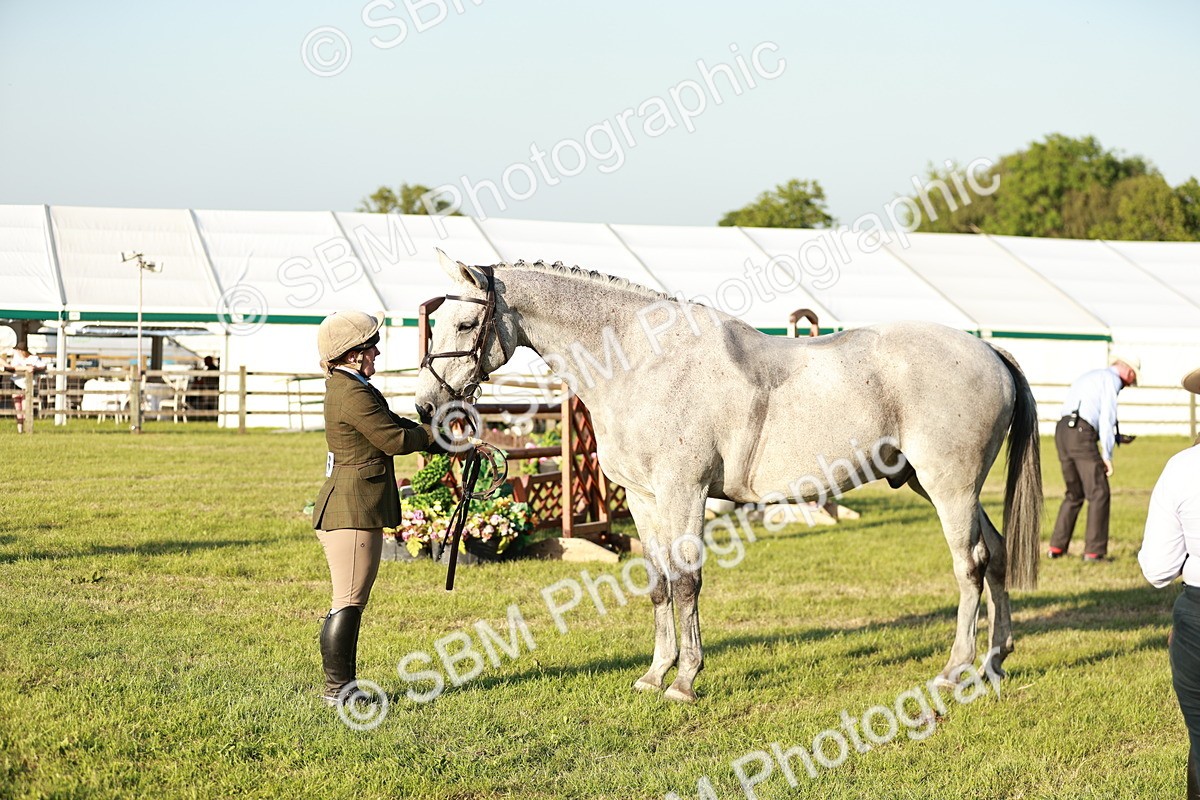 SBM_20550 - Class 117-119 - Sport Horse Working Hunter