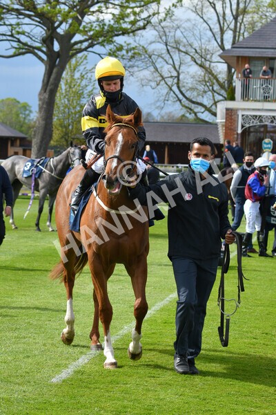 yr12052021r6-29 - Race 6 4.15pm British Stallion Studs EBF Novice Stakes