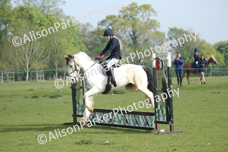 20260426-0055 - Class 13 - Rookie Jumping 50cm