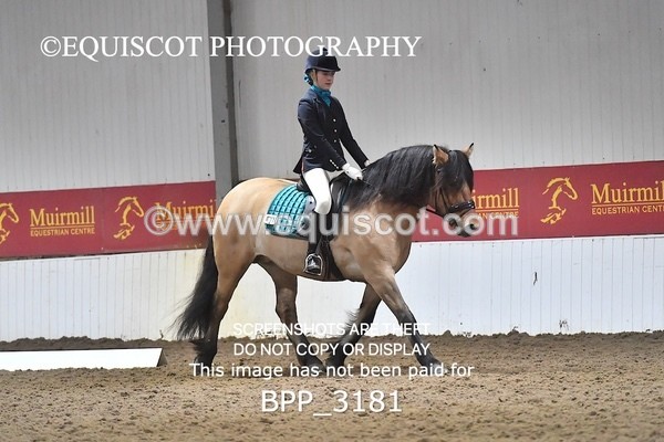 BPP_3181 - INTRO TEST 3