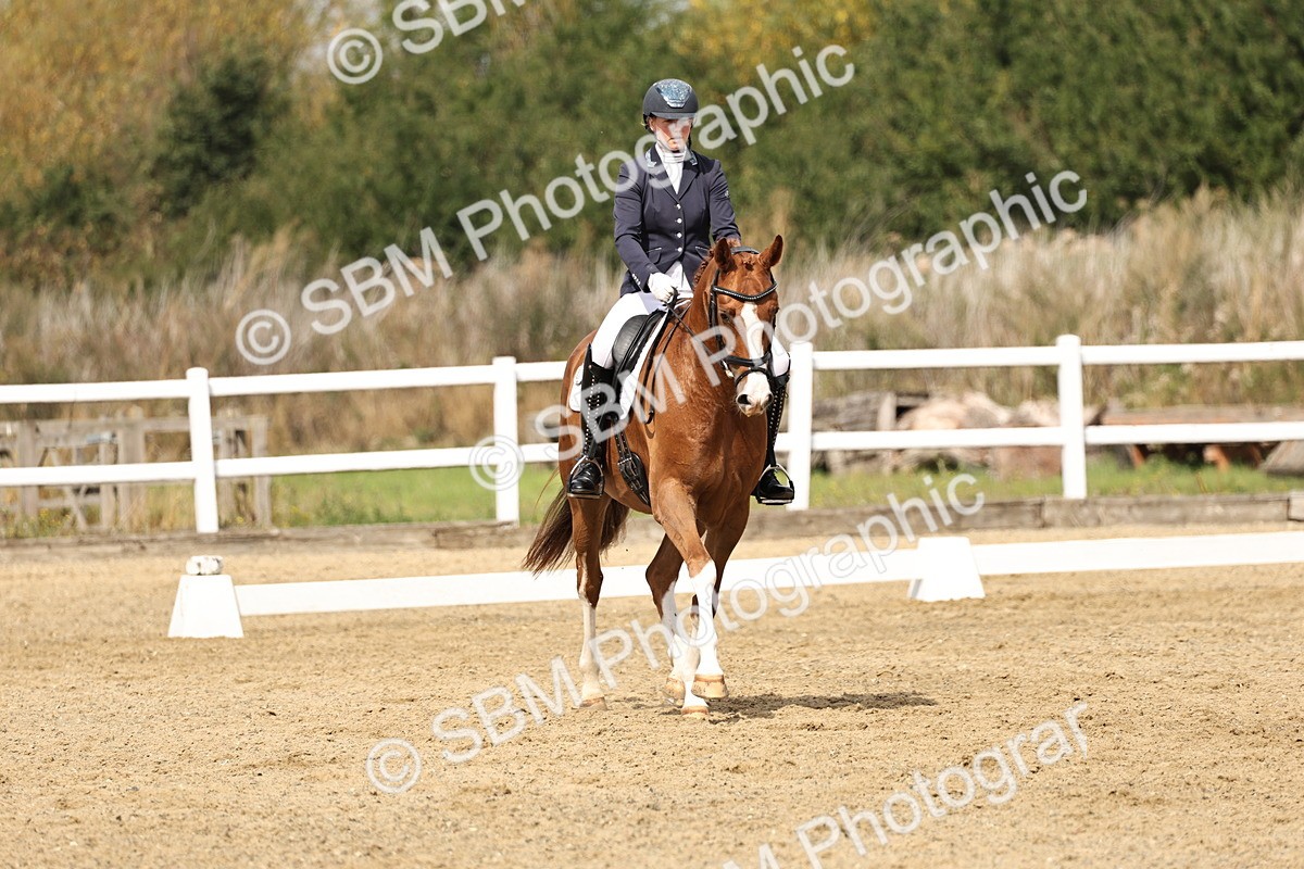 SBM_018317 - Class 16 - Novice 5 - 11.12-12.01