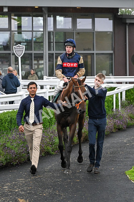 230725-Race 5-Bosphorus Rose-0509 - Race 5