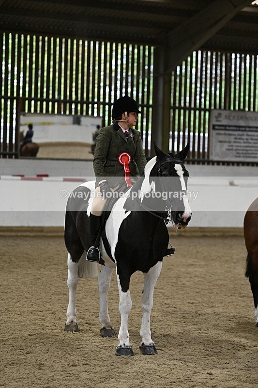 WJ7_4346 - Class 17 Ridden Cob