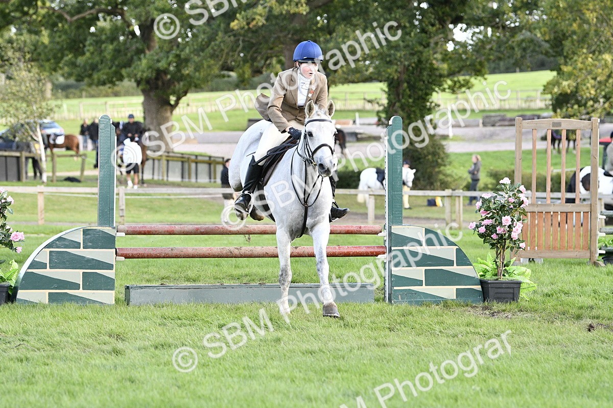 SBM_52156 - S35 - Working Hunter & Working Show Horse