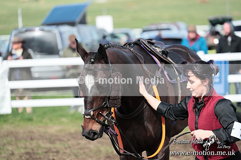 PtP 230324 224 - Tedworth Hunt PtP Larkhill Raccourse 23rd March 2024