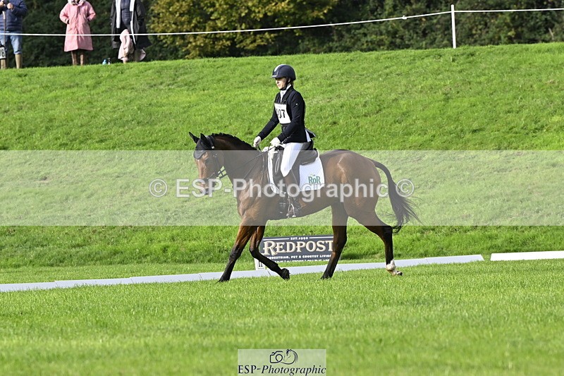 251023A-104022-02893 - F-407-Helen.Jackson