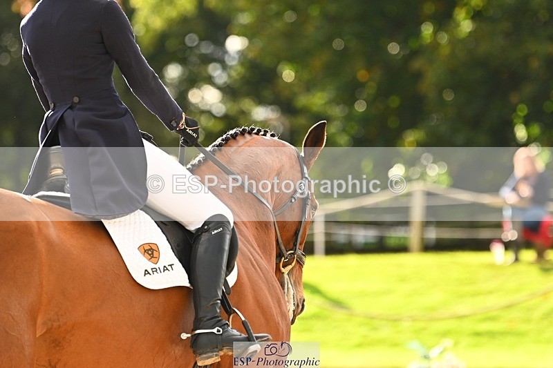 231021-152829-21139 - 362-GLOBAL.AMARETTO-Charlotte.Agnew-DR