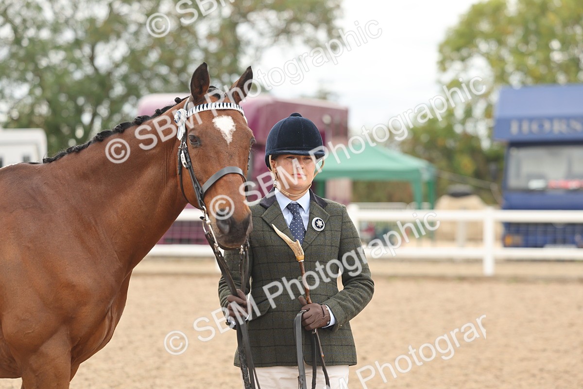 SBM_17105 - Class 313 - IH Retired Racehorse