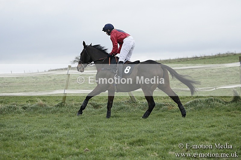 PtP 031217 71 - Hursley Hambledon Point-to-Point Larkhill 03/12/17