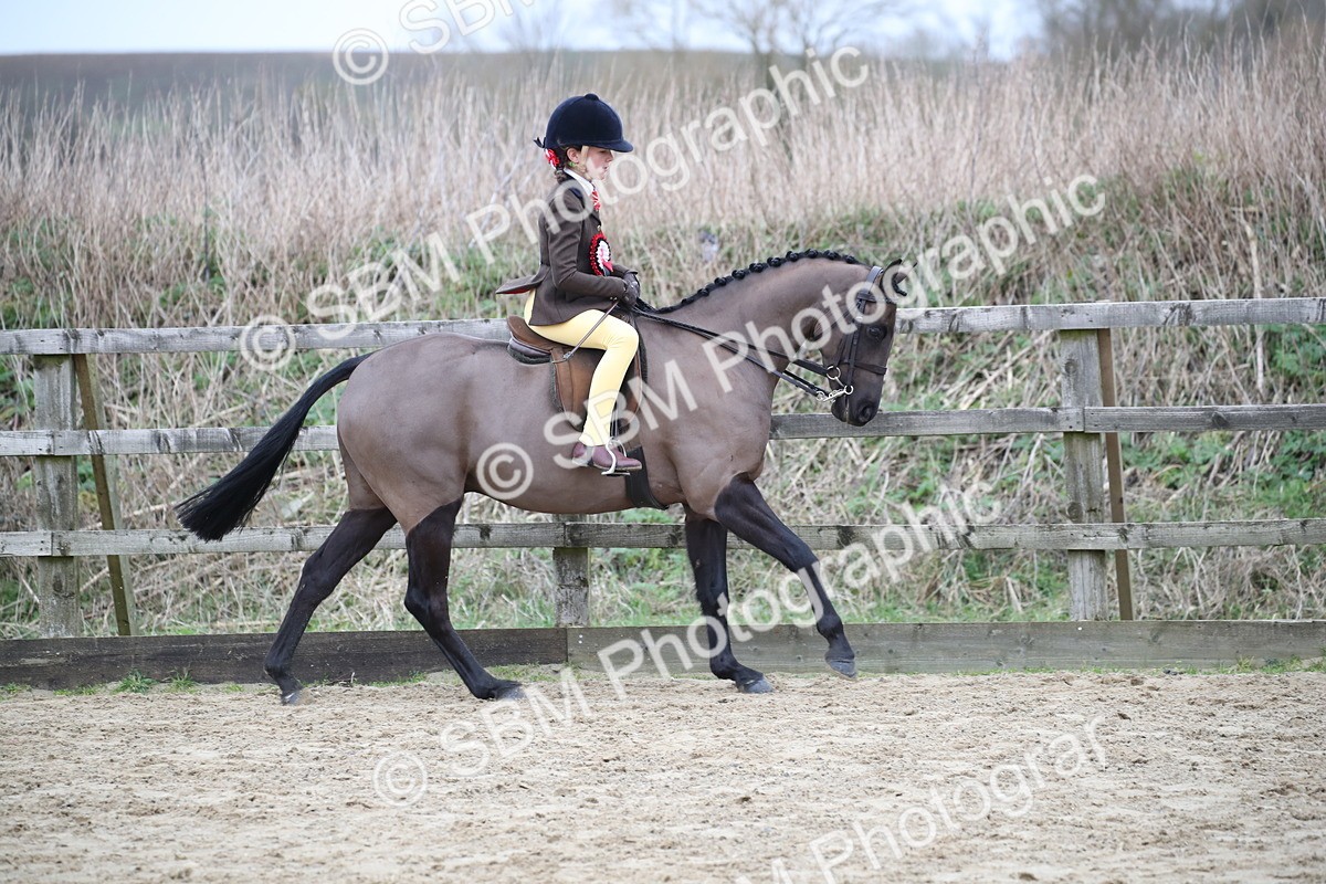 SBM_004690 - Class 5-9 - NPS In Hand-Show Hunter-Intermediate Ridden Inc Ridden Championship