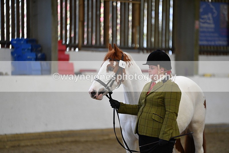 WJ5_4035 - Class 2 Best Condition In hand