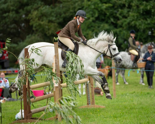 Dunblane show-570 - Dunblane and Doune Show Ring 1