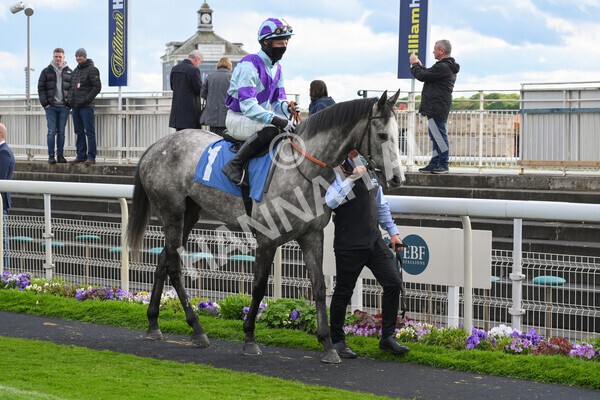 yr22052021r7-22 - Race 7 5.25pm Hudson Quarter York Palace Capital Stakes - Gentleman Amateur Riders Race