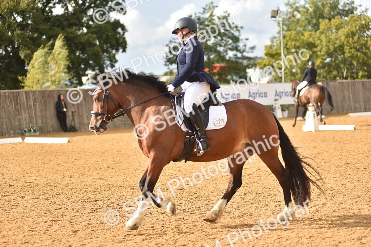 SBM_29652 - D16 -Small Tour Championship Novice 2