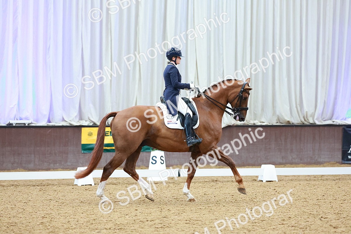SBM_007762 - Class 9 - FEI INT II - 16.54.17.57