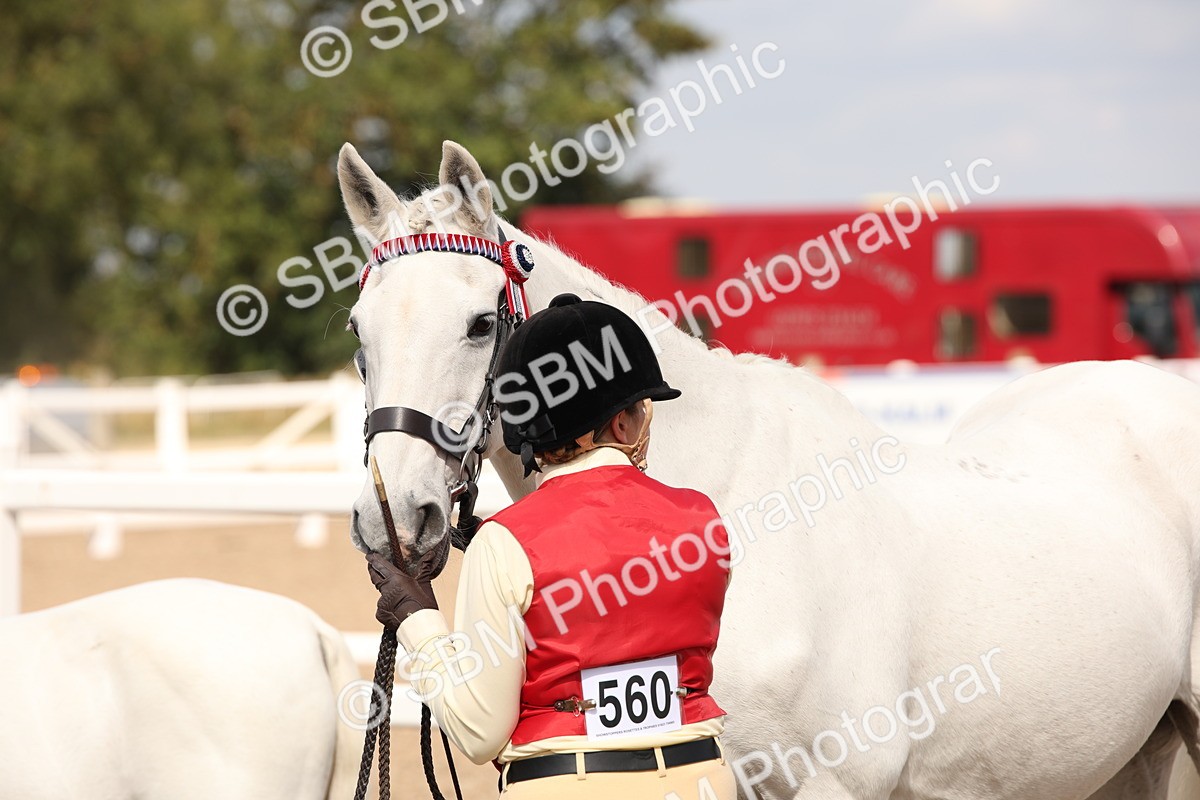 SBM_03759 - Class 19 Judge's Favourite