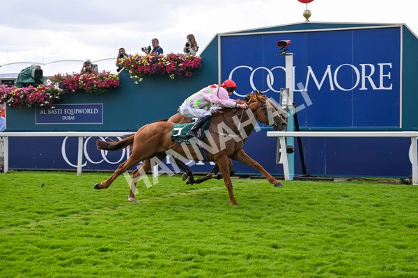 230824-Race 2-Vauban-8954 - Race 2 2.25pm Weatherbys Hamilton Lonsdale Cup Stakes
