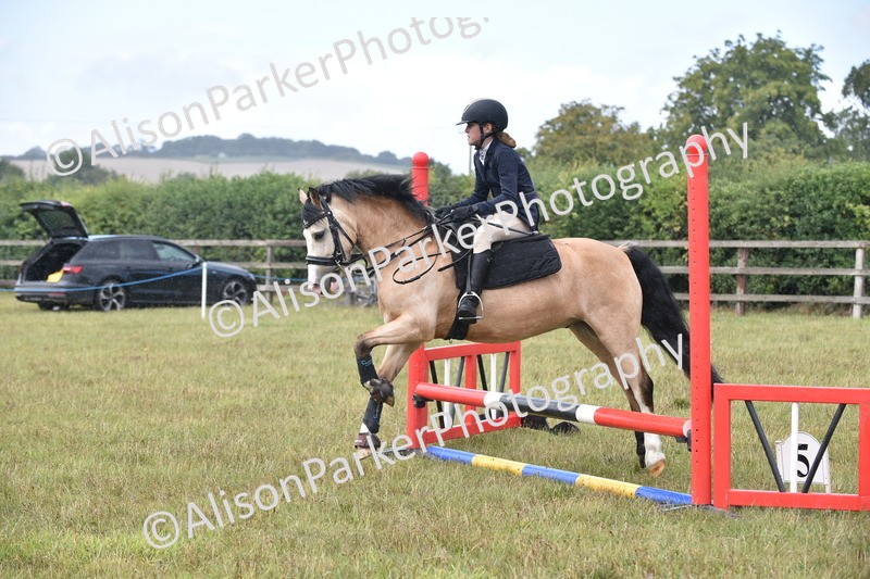 20250831-1882 - Class 9 - Absolute Novice 45cm