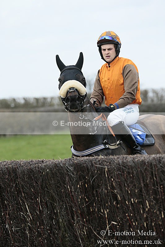 PtP 230319 68 - VWH Hunt Siddington Point-to-Point Racing 23/03/19