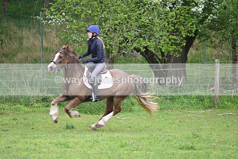 WJ6_3381 - A camera