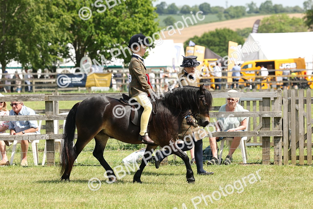 SBM_05414 - Class 24-25 - Mountain & Moorland In Hand Lead Rein and First Ridden