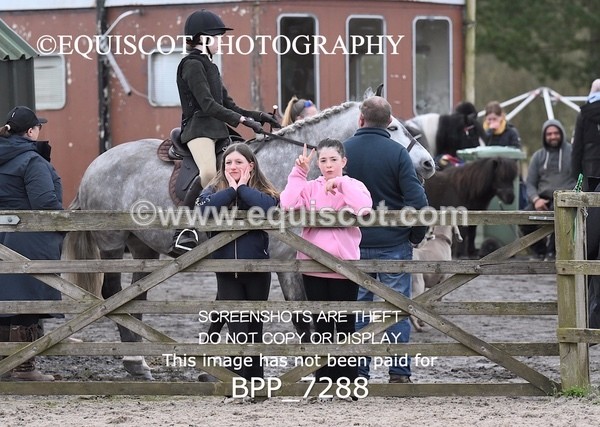 BPP_7288 - RING 1  (RIDDEN HORSES / IN HAND / VETERAN ETC)
