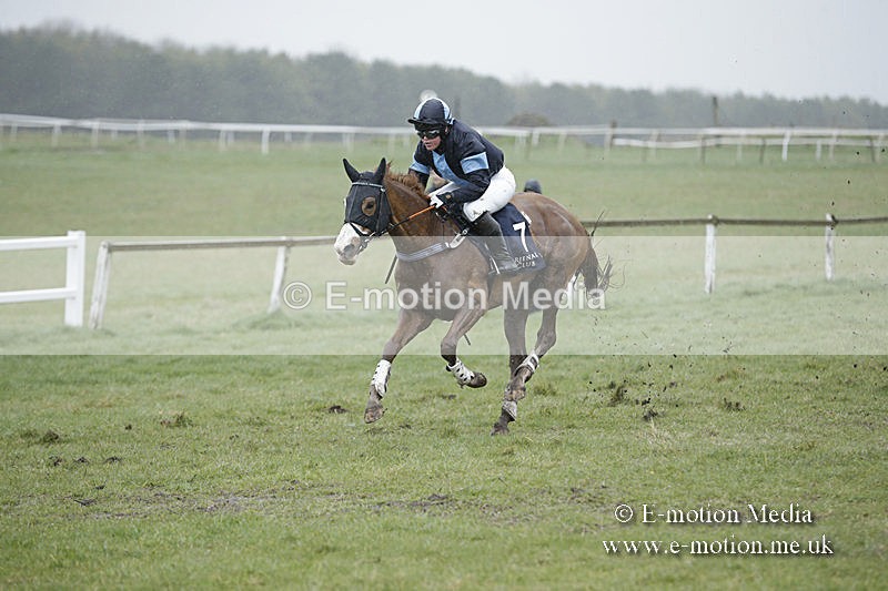 PtP 150320 0183 - New Forest Point-to-Point Larkhill 15/03/20