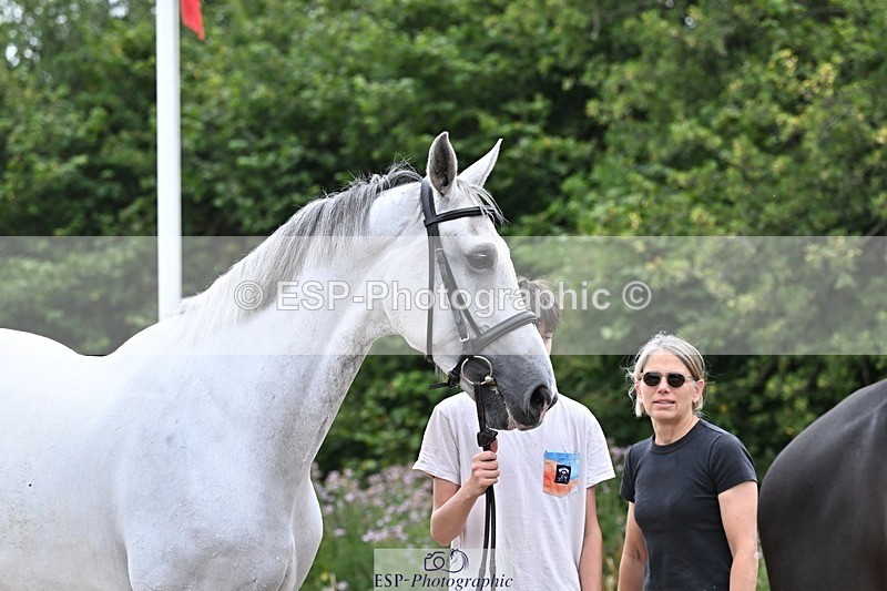 250716-133958-00617 - Trot Up 1.30 to 2.30