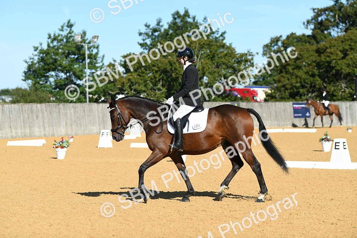 SBM_17995 - D4 - Small Tour Championship - Intro B
