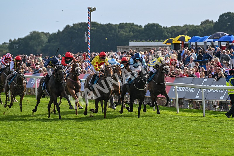 060926-Race 6-Power Fizz-8758 - Race 6 4.25pm Eboracum Security Handicap