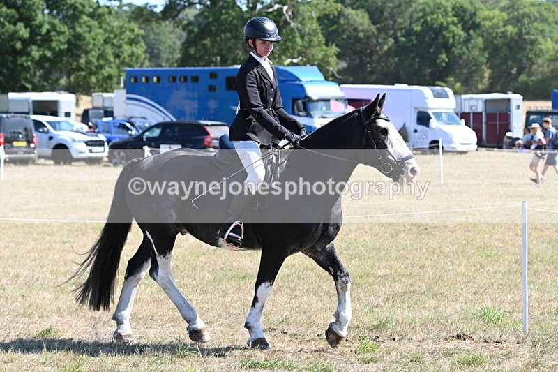 WJ6_8209 - Class 37a Best Loan Pony Ridden