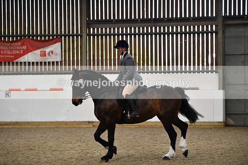 WJ5_7774 - Class 13 Ridden Part Breed