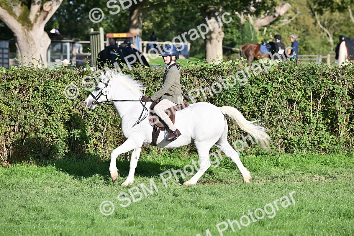 SBM_53035 - S23 - First Ridden Mountain & Moorland Pony