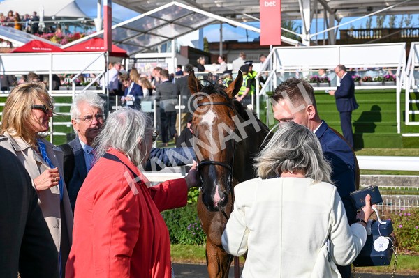 240824-Race 7-Sir Busker-1820 - Race 7 5.20pm Sky Bet Finale Handicap