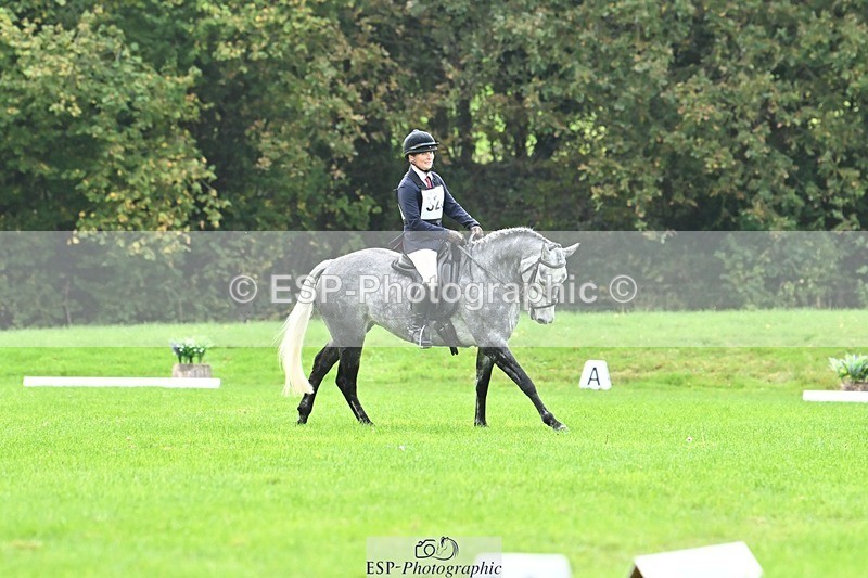 241024-115422-02543 - 320-Alice.Tollworthy-OUR.DOLPHIN.STAR